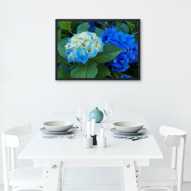 Póster Blue Hydrangea Blooms Floral Glossy (In Situ)
