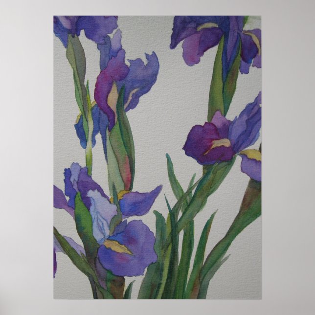 Póster Blue Iris (Frente)