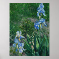 Blue Irises, Jardim do Petit Gennevilliers, 1892