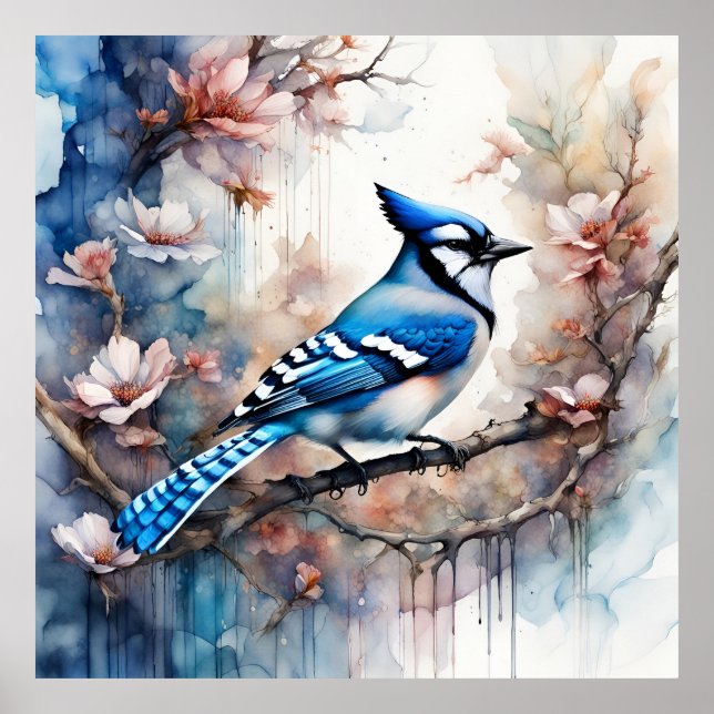 Poster Blue Jay Cherry Blossoms aquarela (Frente)