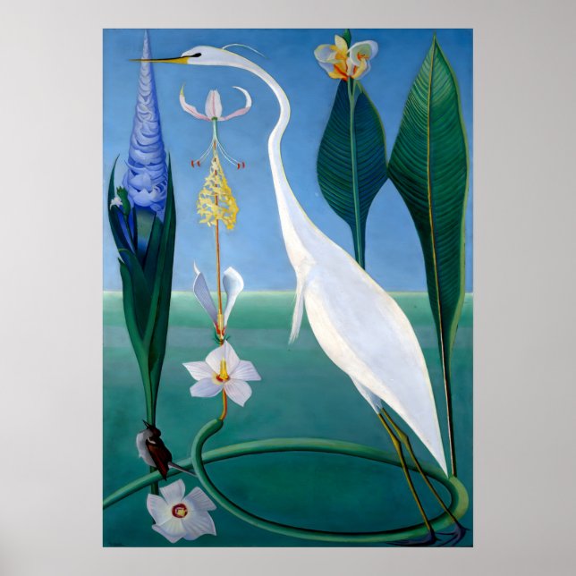 Poster Blue Jays in Winter by Abbott Handerson Thayer (Frente)