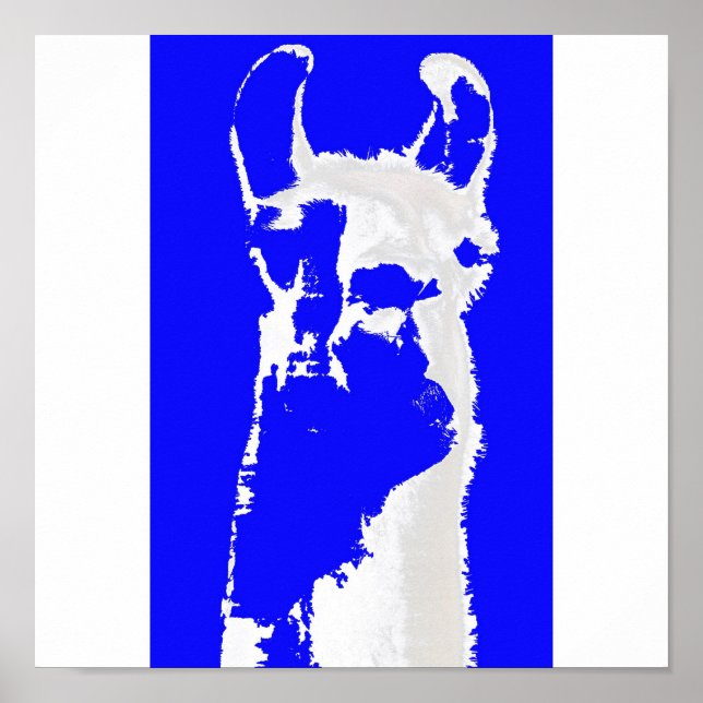 Póster Blue Lama (Frente)