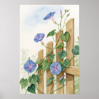 Poster Blue Morning Glory Fence Print | Garden Botanical