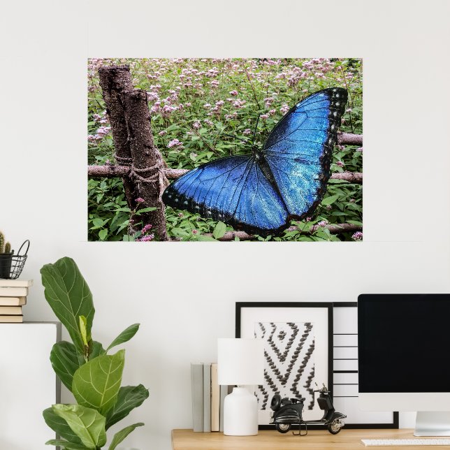 Poster Blue Morpho Butterfly Design (Escritório em casa)