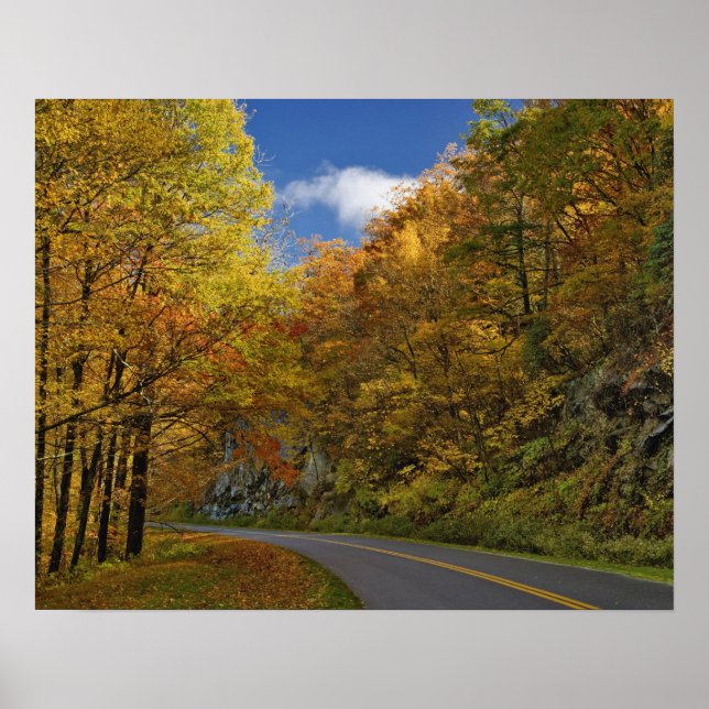 Poster Blue Ridge Parkway curvando as cores do outono (Frente)