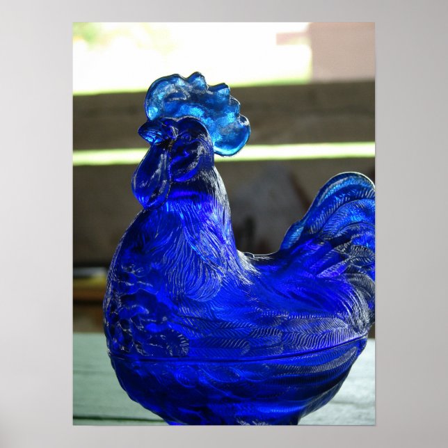 Poster Blue Roo (Frente)