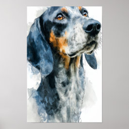 Poster Blue tick coon hound portrait