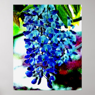 Póster Blue Wisteria