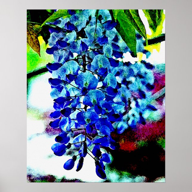 Póster Blue Wisteria (Frente)