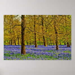 Poster Bluebell Woods Spring Flowers Greys Court
