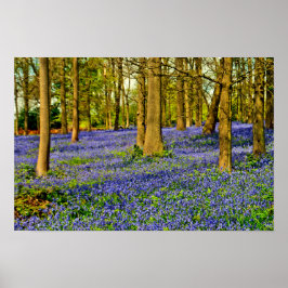 Poster Bluebell Woods Spring Flowers Greys Court