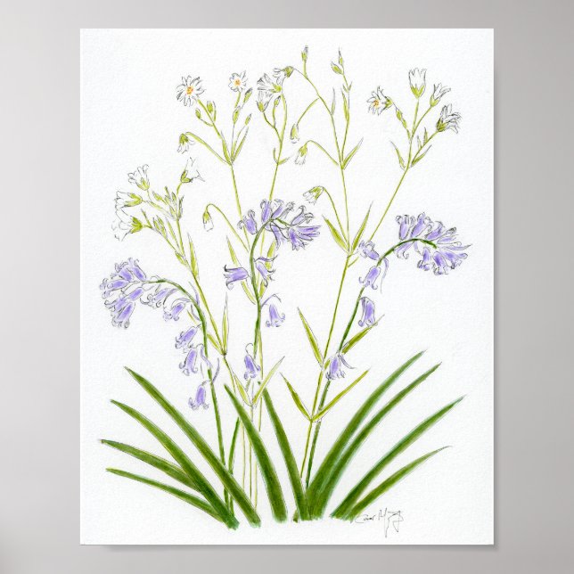 Poster Bluebells and Stitchwort (Frente)
