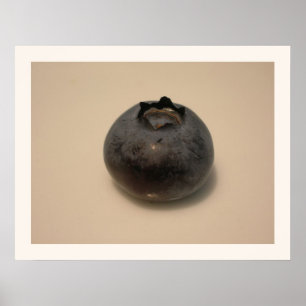 Póster Blueberries I have Known 14