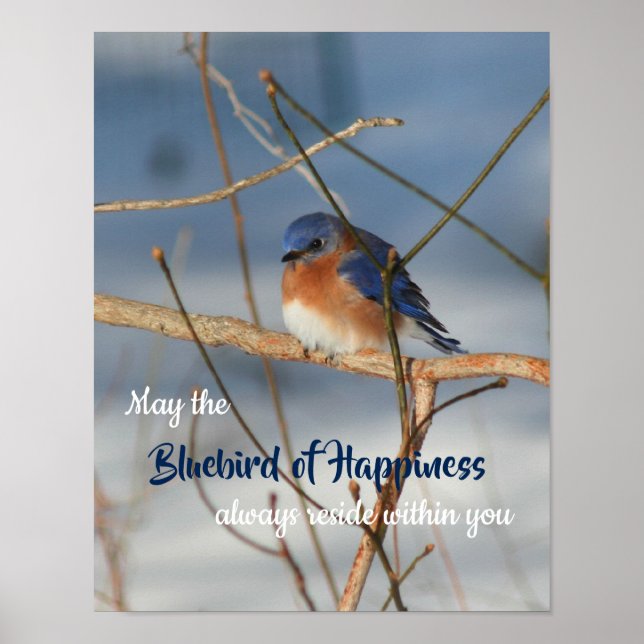 Poster Bluebird De Felicidade Inspiracional (Frente)