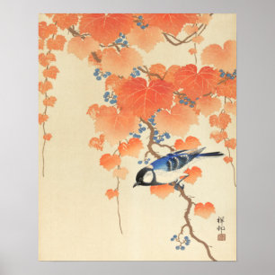 Poster Bluebird em árvore Paulownia