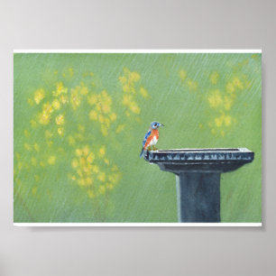 Poster Bluebird em chuva