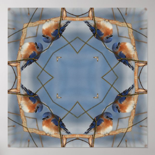 Póster Bluebird Nature Abstrato Kaleidoscope Art (Frente)
