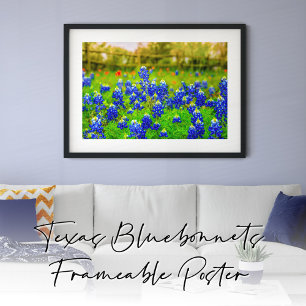 Poster Bluebonnets por todo o Texas Rustic Blue Wildflowe