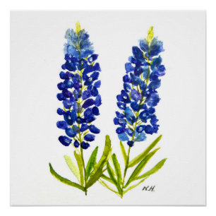 Póster Bluebonnets Texas State Flowers Lupine Watercolor