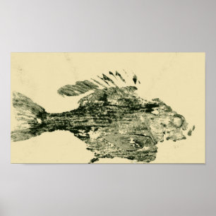 Póster Bluegill