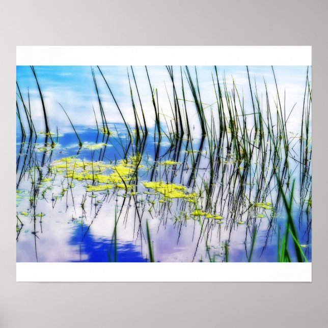 Poster Blues e Grass (Frente)