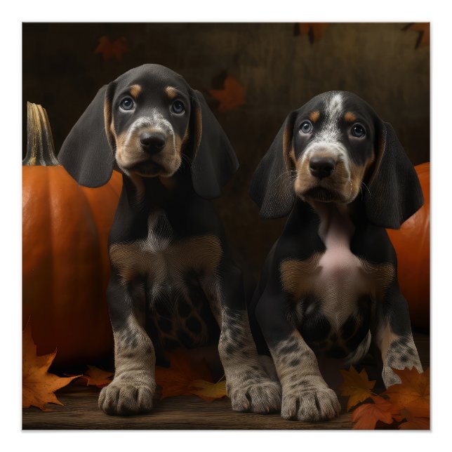 Póster Bluetick Conhound Puppy Autumn - Pumpkin (Frente)