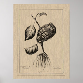 Póster Blum de Explosivo