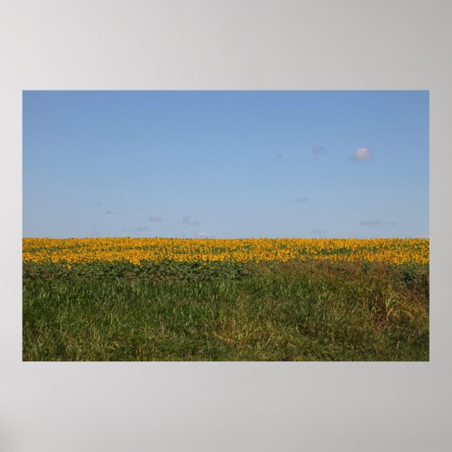 Poster Blur Floral (Frente)