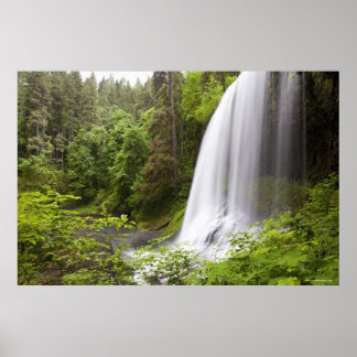Póster Blurred Waterfall and Forest View in Oregon