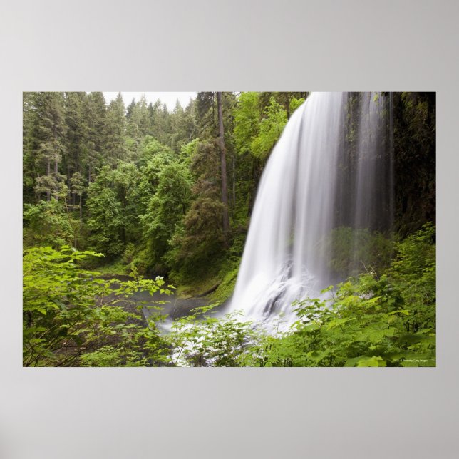 Póster Blurred Waterfall and Forest View in Oregon (Frente)