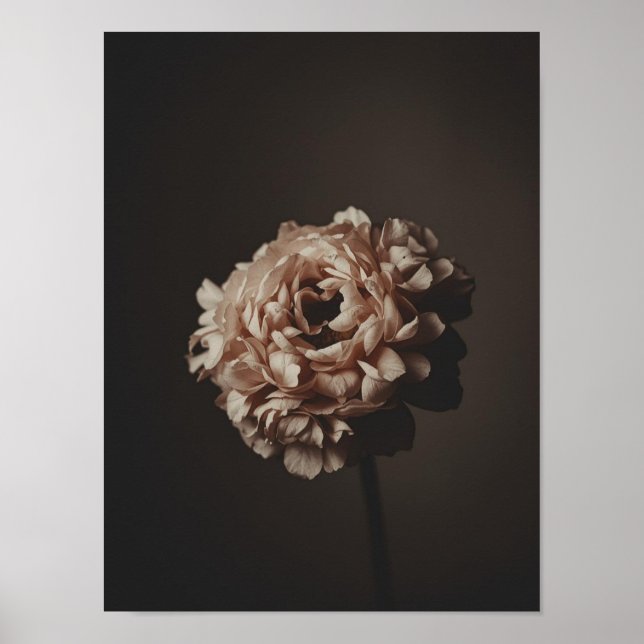 Poster Blush Bouquet Study (Frente)