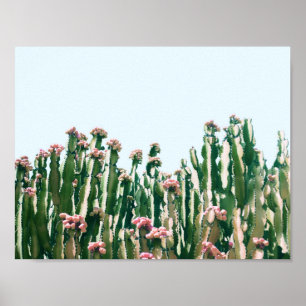 Póster Blush Cactus