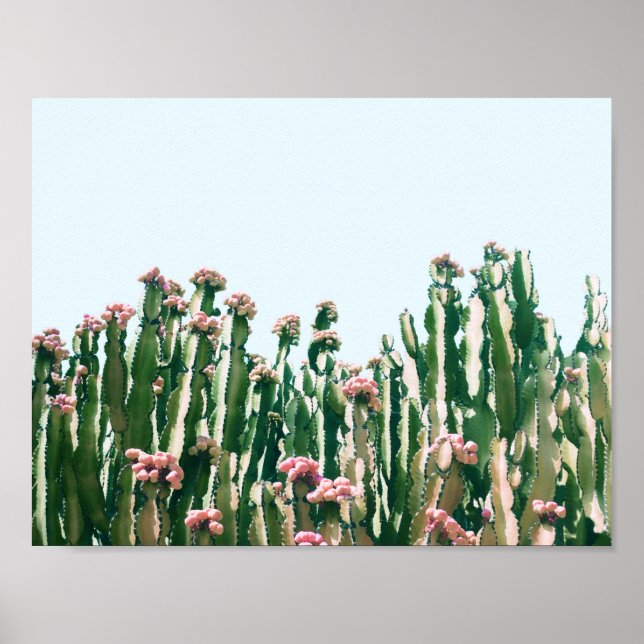 Póster Blush Cactus (Frente)