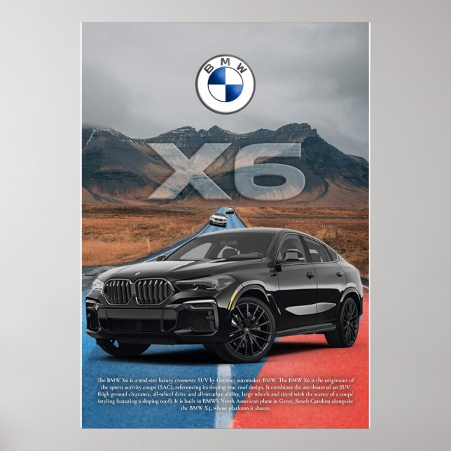 POSTER BMW X6 (Frente)
