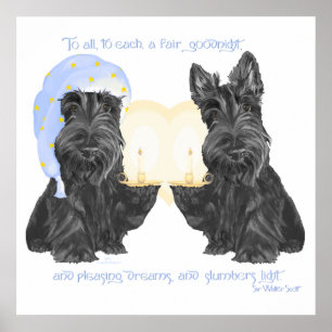 Póster Boa noite Scotties