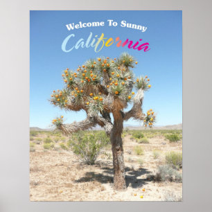 Poster Boa vinda a Califórnia ensolarada