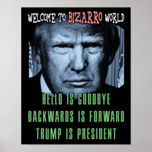 Póster Boa vinda ao mundo de Bizarro - anti presidente