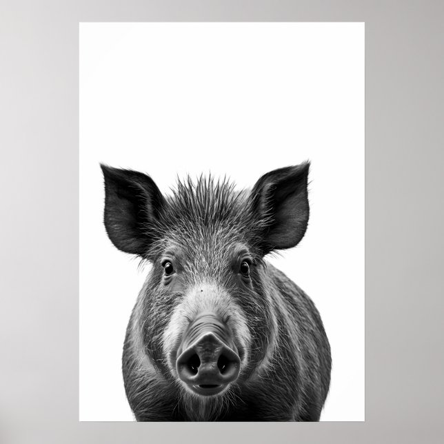 Poster Boar Pig Woodland Retrato moderno preto branco (Frente)