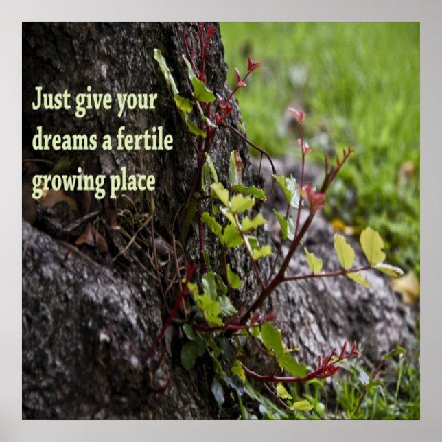 Póster Boas citações (Frente)