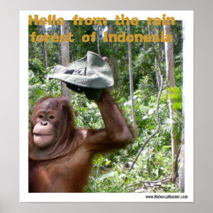 Póster Boas-vindas à floresta tropical de Orangutan