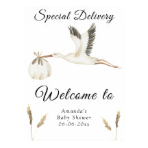 Boas-vindas ao Chá de fraldas de Watercolor Stork