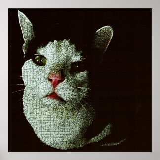 Poster Bob Curioso