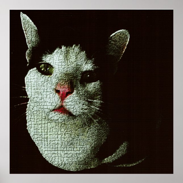 Poster Bob Curioso (Frente)