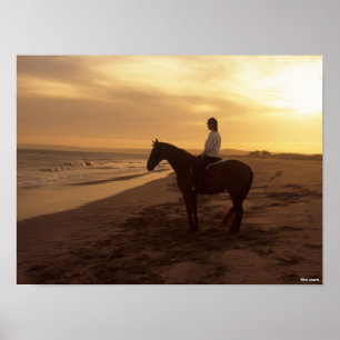 Poster Bob Langrish Cavalo e cavaleiro na praia no Suns