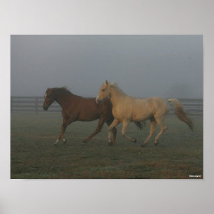 Poster Bob Langrish Cavalos Caminhantes Do Tennessee