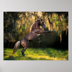 Poster Bob Langrish   Criação de Cavalos de Montanha Roch