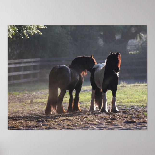 Poster Bob Langrish | Dois Vanners De Cigarro Em retroilu (Frente)