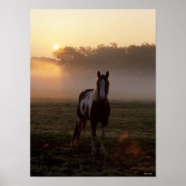 Poster Bob Langrish | Paint Cavalo em chamas (Frente)