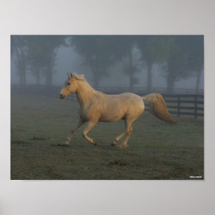 Poster Bob Langrish Palomino Tennessee Walker em Mist