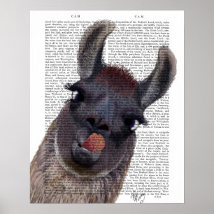 Poster Bobo Llama